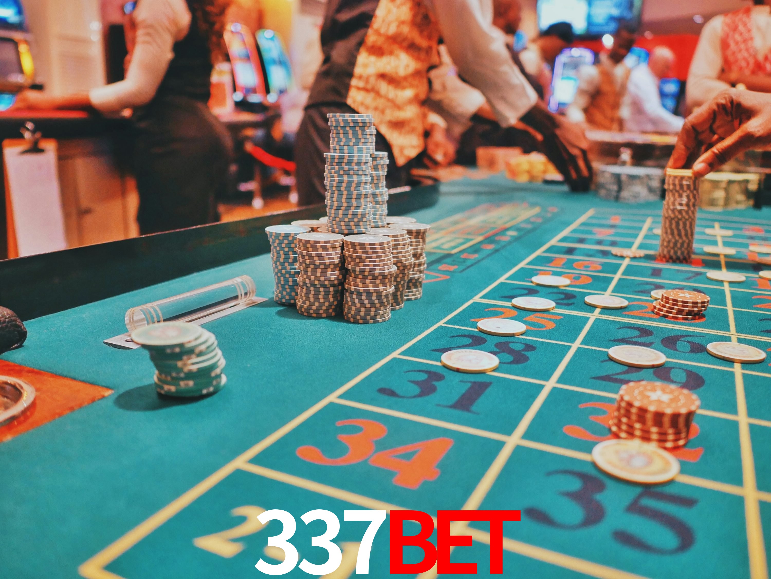 Sports Statistics 337bet